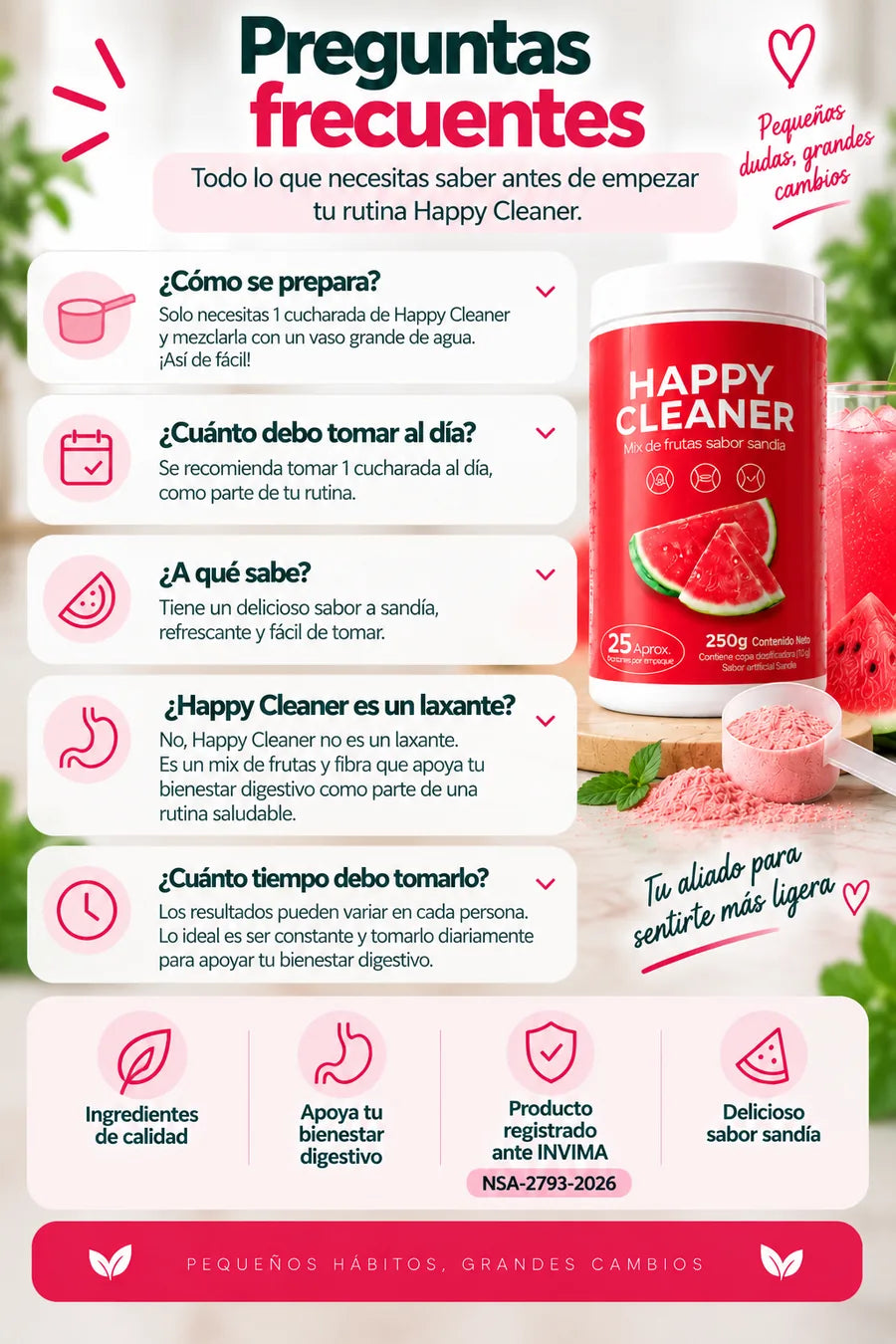 Happy Cleaner landing imagen 01